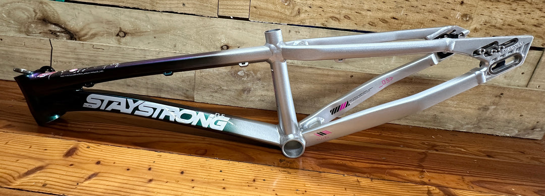*USED* STAYSTRONG FOR LIFE 2024 V5 RACE FRAME - GREY/CHAMELEON - CRUISER