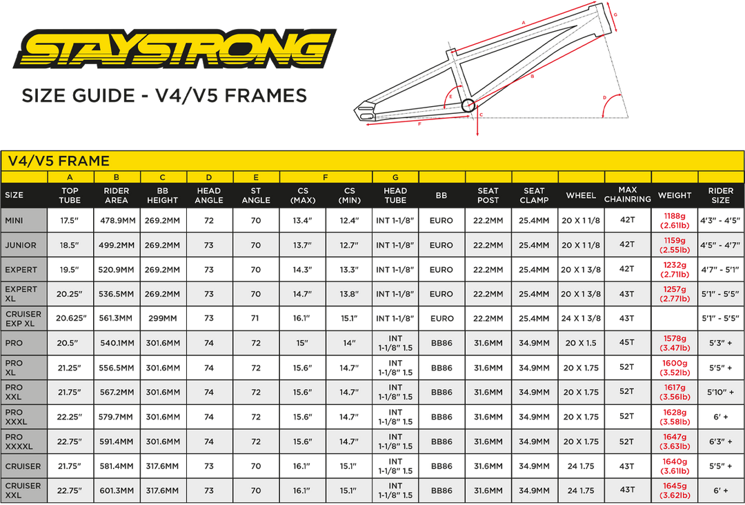 STAYSTRONG FOR LIFE V5 EXPERT XL FRAME 2025